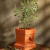 Mudkraft Terracotta Tulsi Brindavan Pot with Drainage Hole | Handmade Clay Tulsi Planter for Balcony, Home & Garden